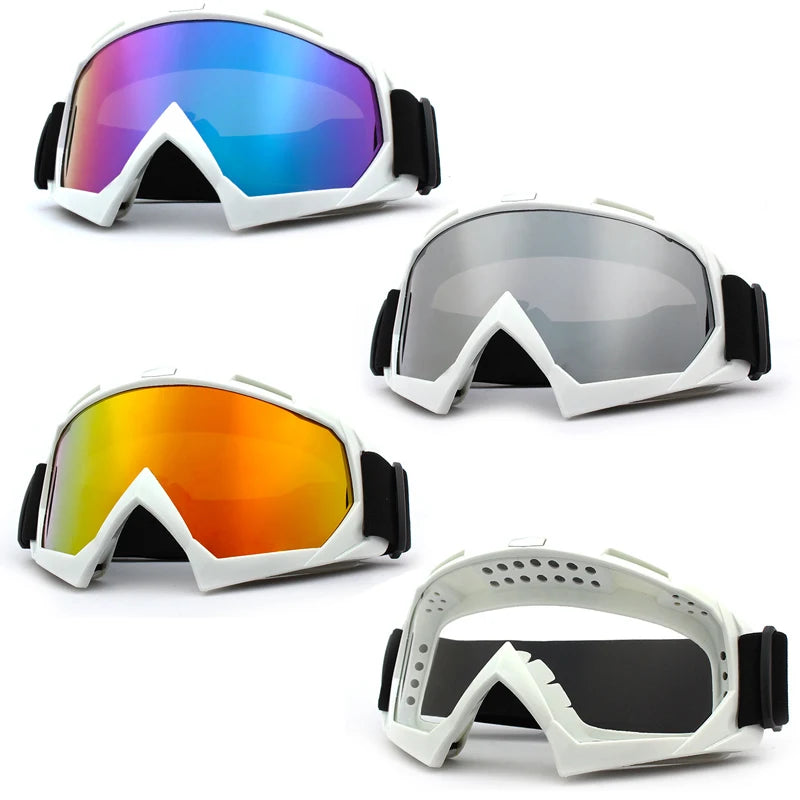 Winter Windproof Ski Goggles